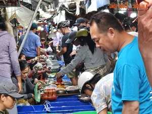 Exploring the Unique Afternoon Seafood Market: A Culinary Journey Through Freshness and Local Tradition - image 10