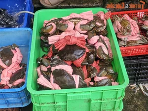 Exploring the Unique Afternoon Seafood Market: A Culinary Journey Through Freshness and Local Tradition - image 2