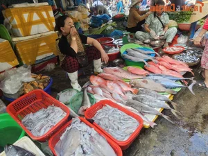 Exploring the Unique Afternoon Seafood Market: A Culinary Journey Through Freshness and Local Tradition - image 4