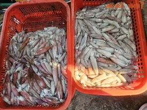 Exploring the Unique Afternoon Seafood Market: A Culinary Journey Through Freshness and Local Tradition - image 3