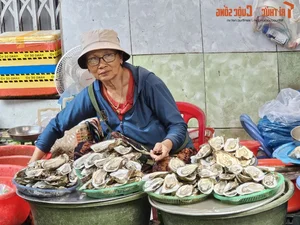 Exploring the Unique Afternoon Seafood Market: A Culinary Journey Through Freshness and Local Tradition - image 12