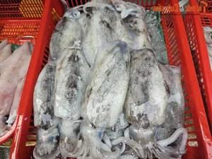 Exploring the Unique Afternoon Seafood Market: A Culinary Journey Through Freshness and Local Tradition - image 5