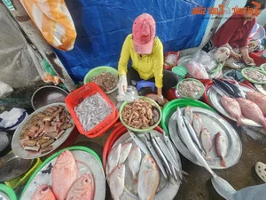 Exploring the Unique Afternoon Seafood Market: A Culinary Journey Through Freshness and Local Tradition - image 6