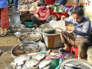 Exploring the Unique Afternoon Seafood Market: A Culinary Journey Through Freshness and Local Tradition - image 15