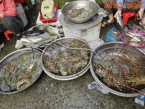 Exploring the Unique Afternoon Seafood Market: A Culinary Journey Through Freshness and Local Tradition - image 7