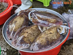 Exploring the Unique Afternoon Seafood Market: A Culinary Journey Through Freshness and Local Tradition - image 0