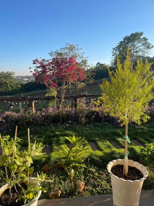 A Closer Look at the Breathtaking 2,000m2 Eco-Friendly Garden Estate of a Renowned Artist