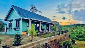 A Closer Look at the Breathtaking 2,000m2 Eco-Friendly Garden Estate of a Renowned Artist - image 2