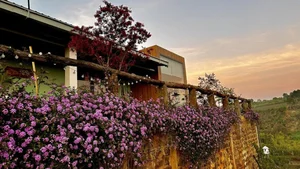 A Closer Look at the Breathtaking 2,000m2 Eco-Friendly Garden Estate of a Renowned Artist - image 1