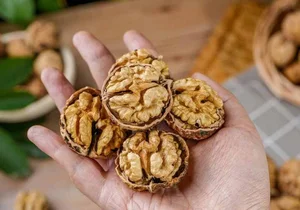 Discover the King of Nuts: Nutritious and Easy Recipes for a Healthy Lifestyle - image 0