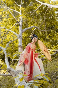 YiTuYu Art Language Vol.6451: The Radiant Charm of Xia Han Han - image 8