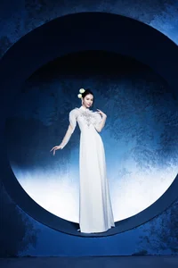 Ethereal Moon-Inspired Ao Dai: A Stunning Fusion of Vietnamese Tradition and Celestial Elegance - image 5
