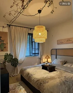 Home Transformation: Director Spends 200 Million on Rental Makeover - image 3