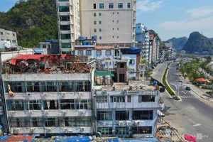 Cat Ba Island Welcomes Tourists Back After Typhoon Yagi Recovery - image 4