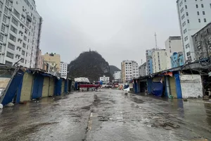 Cat Ba Island Welcomes Tourists Back After Typhoon Yagi Recovery - image 0