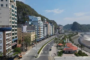 Cat Ba Island Welcomes Tourists Back After Typhoon Yagi Recovery - image 10