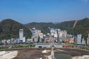 Cat Ba Island Welcomes Tourists Back After Typhoon Yagi Recovery - image 2