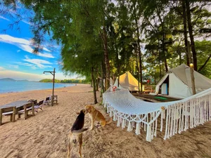 Cai Chien Island: The Ultimate Green Escape for a Tranquil Eco-Friendly Vacation - image 9
