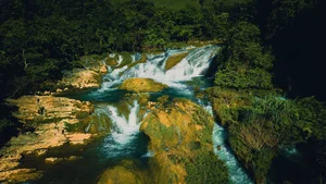 Discover the Cinematic Beauty of Ba Quang Grass Hills in Vietnam - image 6