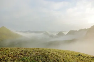 Discover the Cinematic Beauty of Ba Quang Grass Hills in Vietnam - image 8