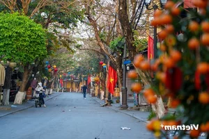 Experience the Serene Beauty of Hoi An Ancient Town at Dawn: A Peaceful Journey Through Vietnam’s Most Charming UNESCO World Heritage Site - image 3