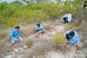 Trekking Co Tien Mountain: Green Tourism and Panoramic Views of Nha Trang - image 1
