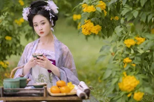 YiTuYu Art Language Vol.7948: The Enigmatic Style of Shen Ci Xing Xing - image 9
