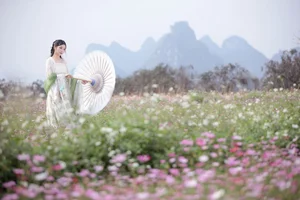 Discover YiTuYu Art Language Vol.6393 with Jin Zou Ba: Modern Elegance and Style - image 5