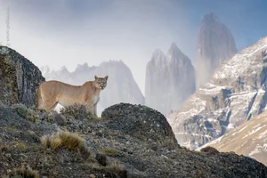 Nature’s Grandeur: Most Impressive Wild Nature and Landscape Photos of 2024 - image 11