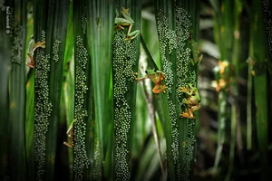 Nature’s Grandeur: Most Impressive Wild Nature and Landscape Photos of 2024 - image 1