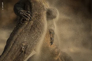 Nature’s Grandeur: Most Impressive Wild Nature and Landscape Photos of 2024 - image 9