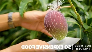 The $4,000 Mango: Discovering the Fascinating Story Behind the World's Most Expensive Fruit - image 2