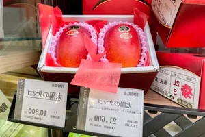 The $4,000 Mango: Discovering the Fascinating Story Behind the World's Most Expensive Fruit - image 4