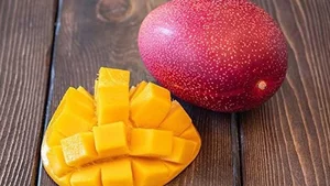 The $4,000 Mango: Discovering the Fascinating Story Behind the World's Most Expensive Fruit - image 5