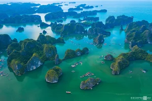 Lan Ha Bay Travel Guide 2024: The Serene Alternative to Ha Long Bay - image 3