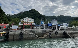 Lan Ha Bay Travel Guide 2024: The Serene Alternative to Ha Long Bay - image 7