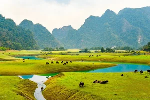 Dong Lam Steppe: A Picturesque Escape Near Hanoi During the Flooded Season - image 2