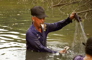 Traditional Fishing in Dat Mui: Discovering the Do Cha Culture of Ca Mau - image 1