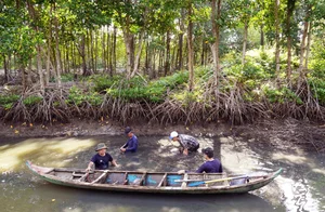 Traditional Fishing in Dat Mui: Discovering the Do Cha Culture of Ca Mau - image 7