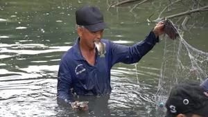 Traditional Fishing in Dat Mui: Discovering the Do Cha Culture of Ca Mau - image 2