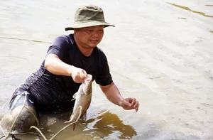 Traditional Fishing in Dat Mui: Discovering the Do Cha Culture of Ca Mau - image 6