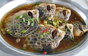 Traditional Fishing in Dat Mui: Discovering the Do Cha Culture of Ca Mau - image 5
