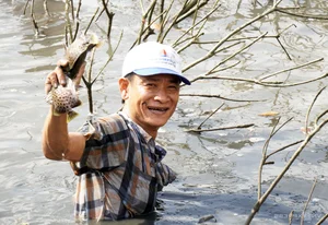 Traditional Fishing in Dat Mui: Discovering the Do Cha Culture of Ca Mau - image 8