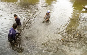 Traditional Fishing in Dat Mui: Discovering the Do Cha Culture of Ca Mau - image 10