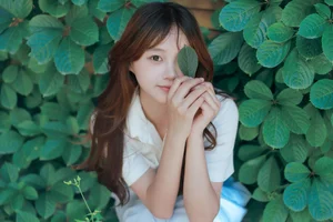 Creative Visual Expressions in Art Language Vol.4901 Fei Xiang De Qi E - image 5