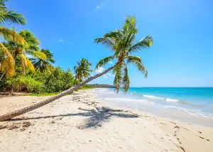 Discover Phu Quoc: A Tropical Island Paradise with Breathtaking Pristine Landscapes - image 6