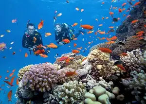 Discover Phu Quoc: A Tropical Island Paradise with Breathtaking Pristine Landscapes - image 1