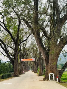 Am Tien: A Visionary Blend of Cultural Heritage and Ecological Preservation for Modern Travelers - image 4