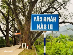 Am Tien: A Visionary Blend of Cultural Heritage and Ecological Preservation for Modern Travelers - image 9