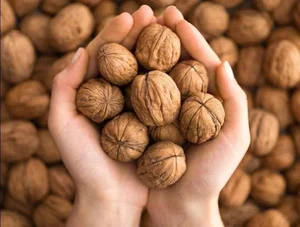 Top 5 Nutrient-Rich Seeds and Nuts to Boost Eye Health and Naturally Prevent Vision Aging for a Clearer Future - image 2